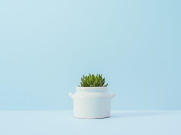 Stop Black Friday from Creeping into Thanksgiving!